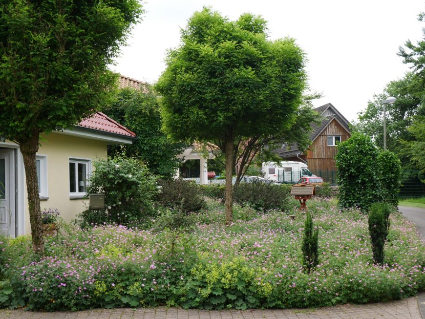 Unser Dorf hat Zukunft - Buke